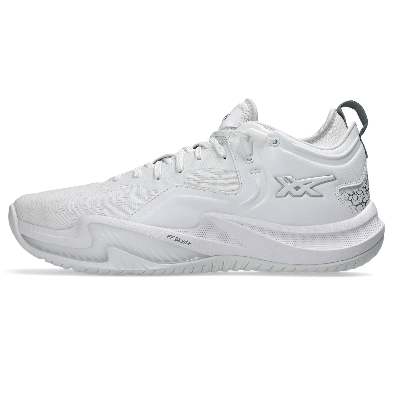 노바 서지 로우 2